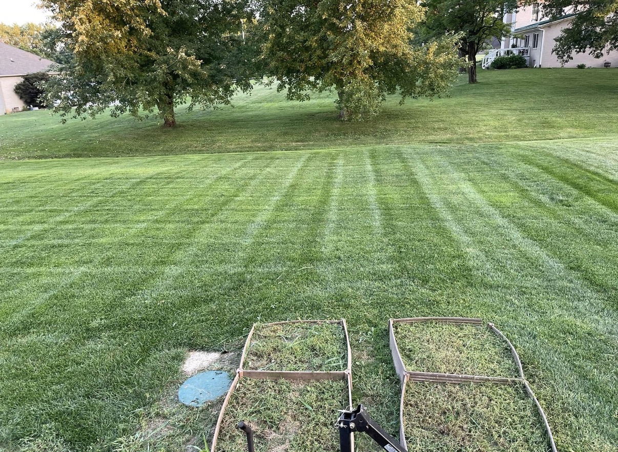 Mowed lawn
